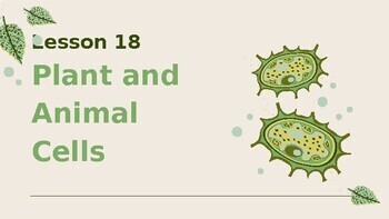 Preview of Reading Passage 18: Plant and Animal Cells PPT
