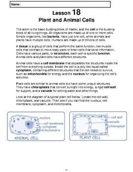 Preview of Reading Passage 18: Plant and Animal Cells (Word)