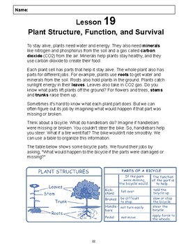 Preview of Reading Passage 19: Plant Structure, Function, and Survival PDF