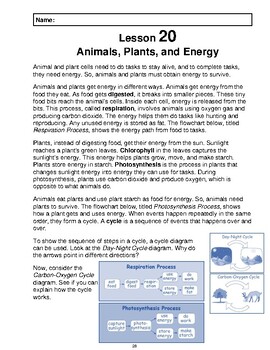 Preview of Reading Passage 20: Animals, Plants, and Energy (Word)