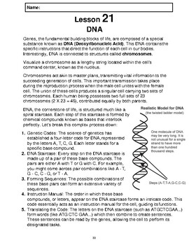 Preview of Reading Passage 21: DNA (Word)