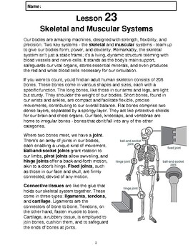Preview of Reading Passage 23: Skeletal & Muscular Systems (Word)