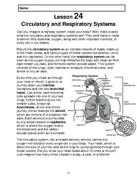 Preview of Reading Passage 24: Circulatory & Respiratory Systems (Word)