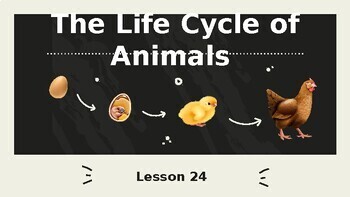 Preview of Reading Passage 24: The Life Cycle of Animals PPT
