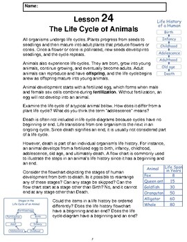 Preview of Reading Passage 24: The Life Cycle of Animals (Word)