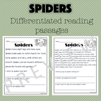 Reading Passage Spiders by Pink Bee creations | TPT