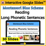 Reading Phonetic Sentences - Google Slides™ Digital Activi