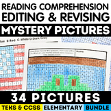 Reading, Revising & Editing Mystery Picture After Testing 