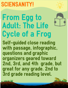 Preview of Reading Skills Passage - From Egg to Adult: The Life Cycle of a Frog