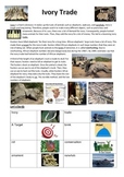Reading Strategies - The Ivory Trade