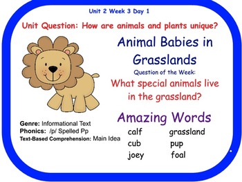 Preview of Animal Babies in Grasslands Flipchart Days 1-5 (Reading Street)