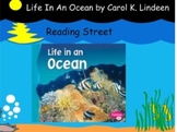 Reading Street "Life In An Ocean"