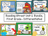 Reading Street Unit 2 First Grade Bundle-- Differentiated