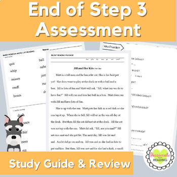 Preview of Step 3 Zero Prep End of Step Assessment Review & Study Guide with Fun Activities