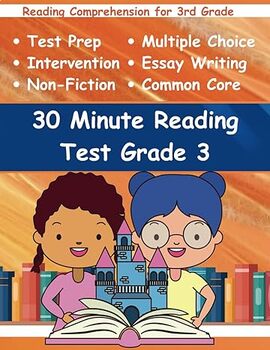 Preview of Reading Test Grade 3 with Multiple Choice Questions and Essay Writing