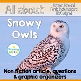 Reading Test Prep Snowy Owls Reading and Language Practice