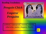 Reading Vocabulary Power Point for Penguin Chick 2nd Grade