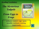 Reading Vocabulary The Mysterious Tadpole