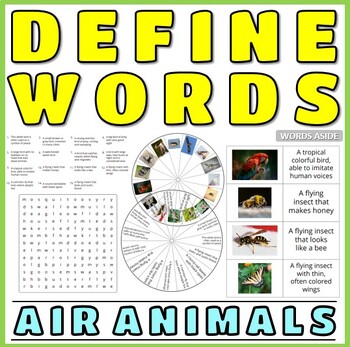 Preview of Defining Vocabulary Puzzles Games Flash Cards AIR ANIMALS