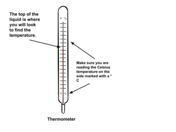 Preview of Reading a Thermometer
