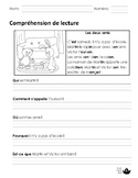 Reading comprehension - French
