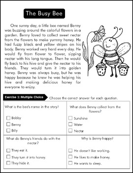 Reading comprehension passage and questions 1st grade Reading Fluency ...