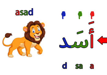 Preview of Reading in Arabic part  1 | Alef Baa Taa Thaa | Arabic Alphabets
