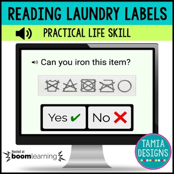 Preview of Reading laundry care labels - practical independent living life skill