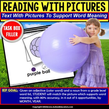 Preview of Reading with Pictures for Word Meaning | Task Box Filler for Special Education