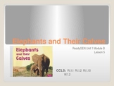 ReadyGen First Grade Unit 1 Module B Lesson 5 Elephants an