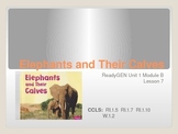 ReadyGen First Grade Unit 1 Module B Lesson 7 Elephants an