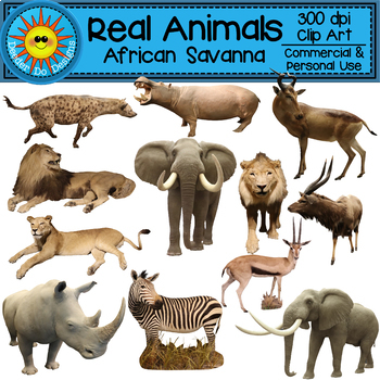 Real Animals African Savanna Clip Art by Deeder Do Designs | TPT