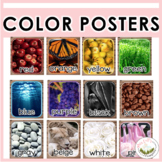 Real Life Color Posters (English/Spanish) FREEBIE