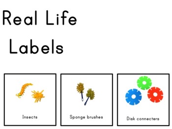 Preview of Preschool Real Life Labels/ Cards