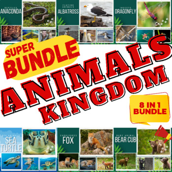 Preview of Real Life Photos For 8 Types of Animal Kingdom - 8 IN 1 BUNDLE