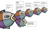 Real Number Subsets Graphic Organizer