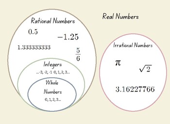 Real Numbers Graphic Organizer by Jessica Dickson | TPT