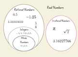 Real Numbers Graphic Organizer