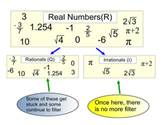 Classify & Define Real Numbers, a Lesson and 8 Assignments