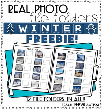 Preview of Real Photo File Folders Winter Freebie