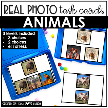 Preview of Real Photo Task Cards: Animals