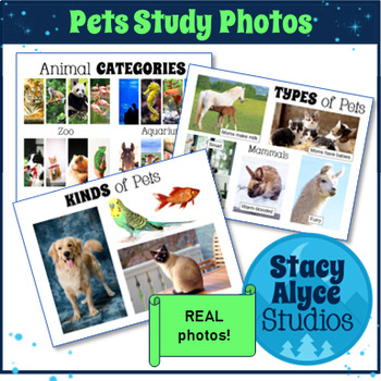Preview of Real Photos/Pictures for Creative Curriculum PETS Study: Preschool Visual Aid