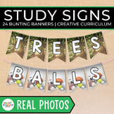Real Photos Study Bunting Banners for 24 Creative Curricul