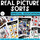 Real Picture Sort Activities: Colors, Numbers, Shapes, + m