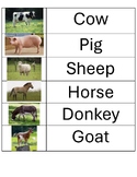 Real Pictures OF Farm Animals Word Wall