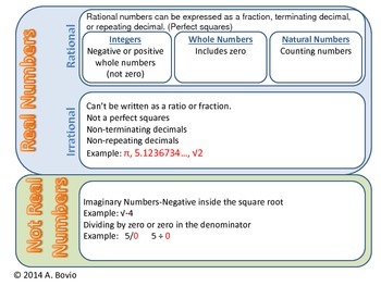 Preview of Real numbers graphic organizer