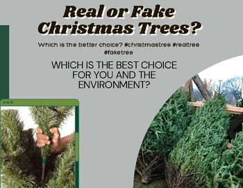 Preview of Real or Fake Trees for the Holidays. Which is better?