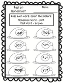 Real or Nonsense Words Printables - Thanksgiving