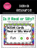 Real or Silly (Nonsense) CVC Words