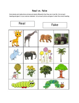 Preview of Real vs. Fake - Plants and Animals